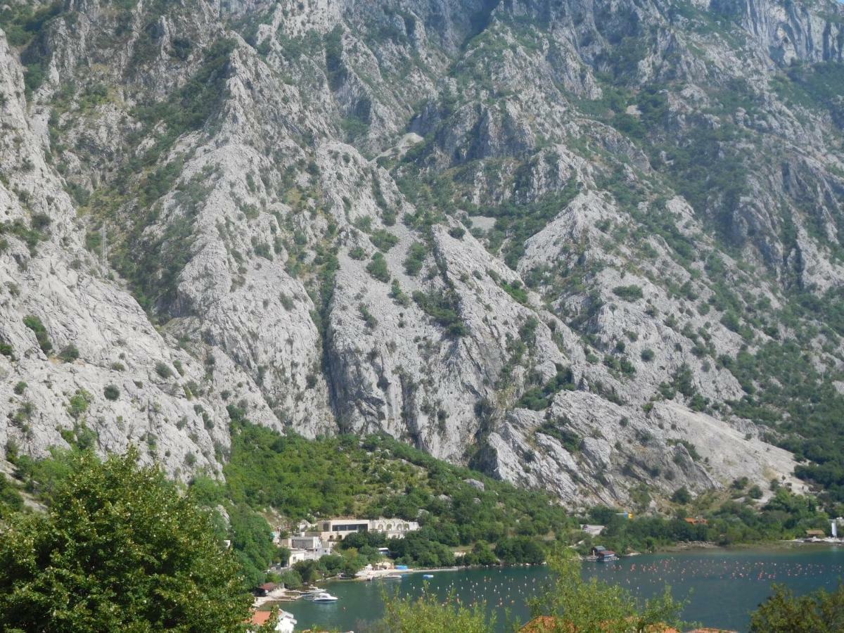 Villa Aronija Kotor Eksteriør bilde